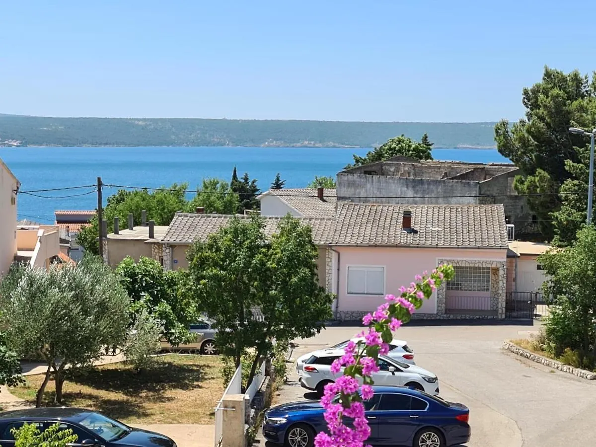 Maslenica-Bougainvillea 0*, Maslenica